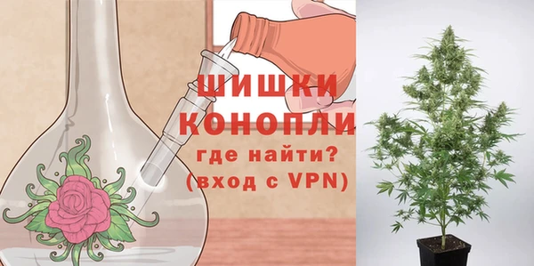 амф Переславль-Залесский