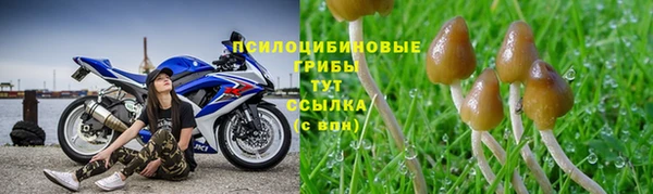 каннабис Беломорск